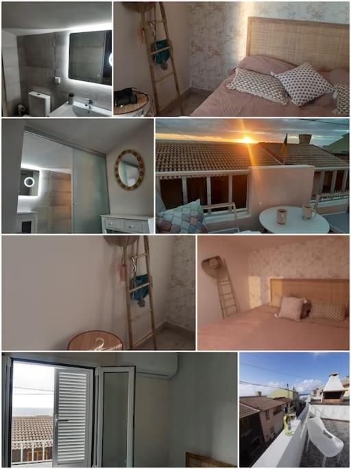 Casa Tropicana 滨海保尔 外观 照片